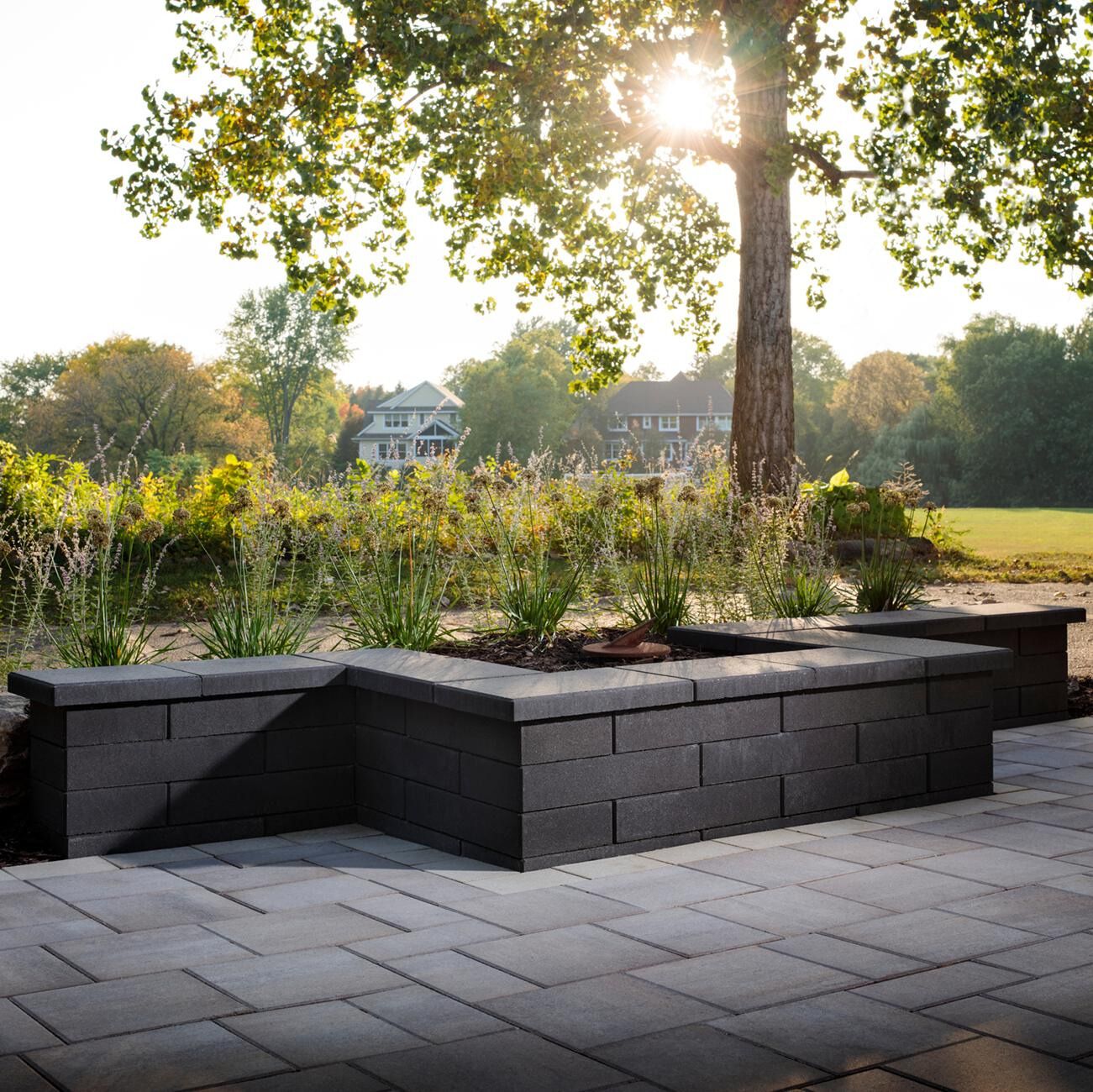 landscape design san mateo-55